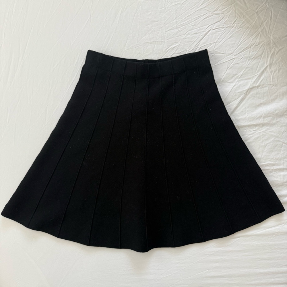 Zara Black A-Line Skirt